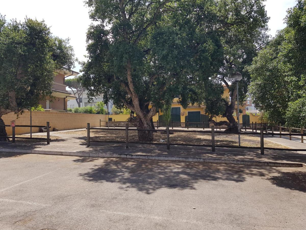 Villa Rimini - Seaview & Roman Holidays Apartments - Garden&Beach 300Mt Anzio Exterior foto